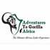 Adventures To Gorilla