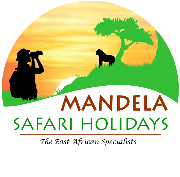 FindTourGuide