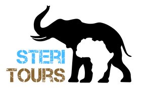 FindTourGuide