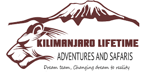 FindTourGuide