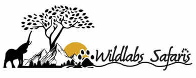FindTourGuide