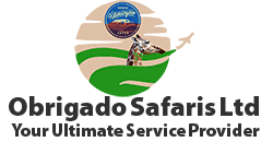 FindTourGuide
