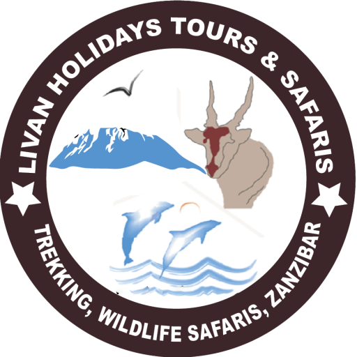 FindTourGuide