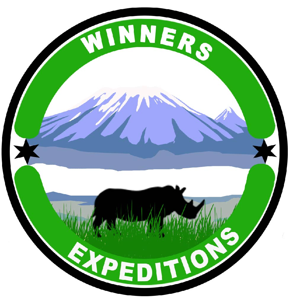 FindTourGuide