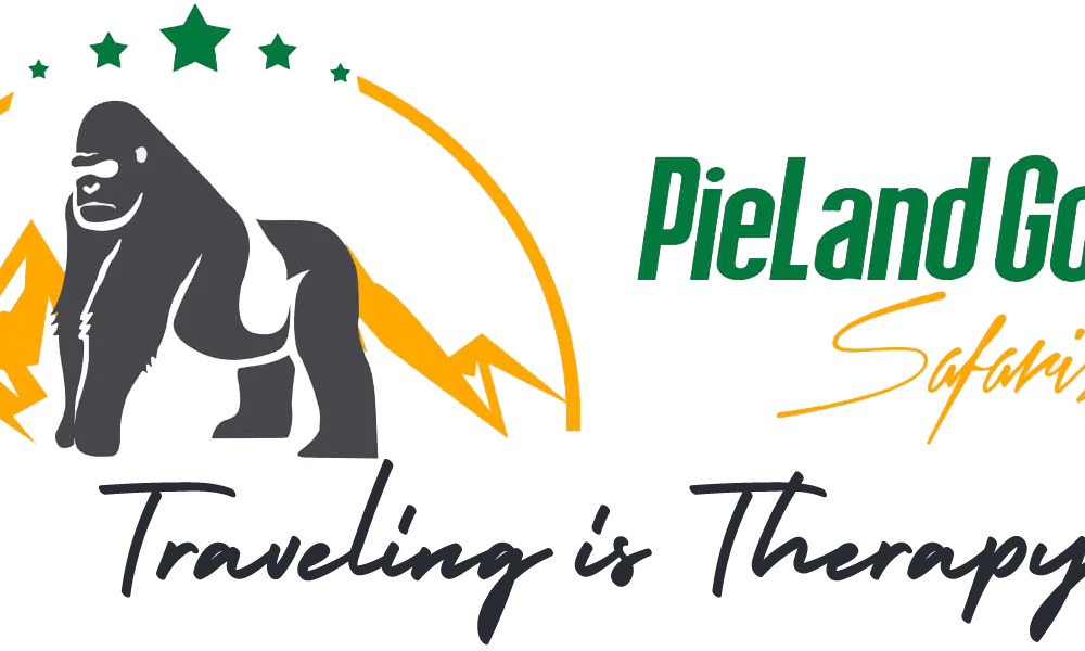 FindTourGuide