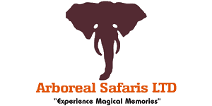 FindTourGuide