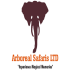 Arboreal Safaris