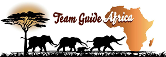 FindTourGuide