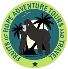 FindTourGuide