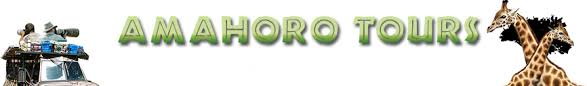 FindTourGuide