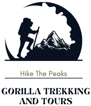 FindTourGuide