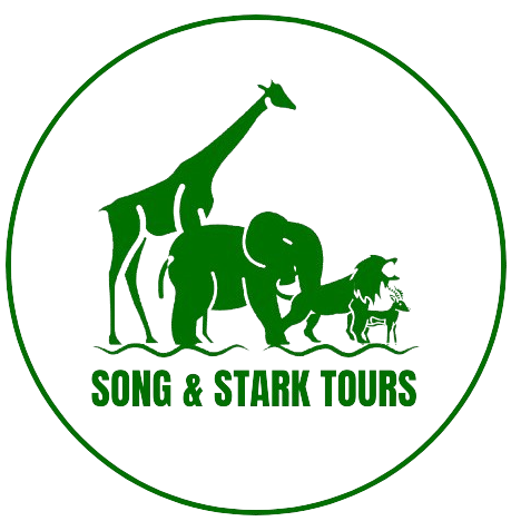 FindTourGuide