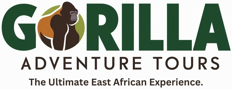 FindTourGuide