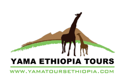 FindTourGuide