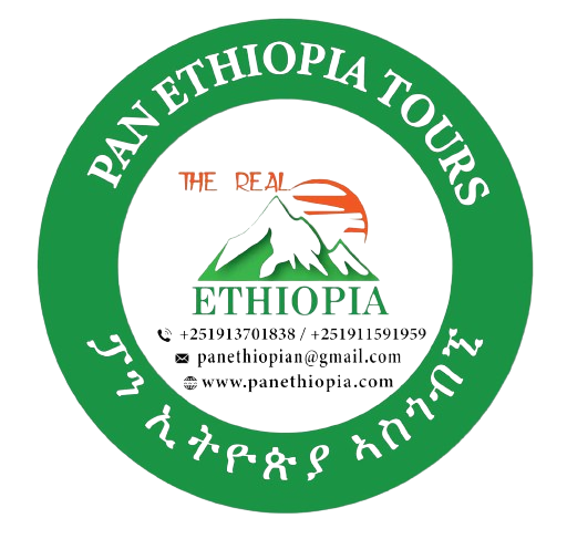FindTourGuide