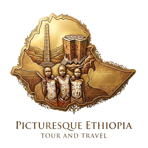 FindTourGuide