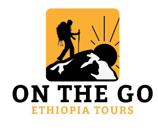 FindTourGuide