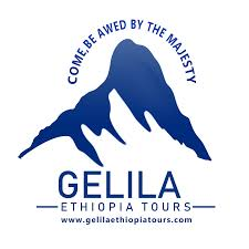 FindTourGuide