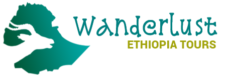 FindTourGuide