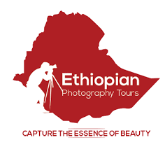 FindTourGuide