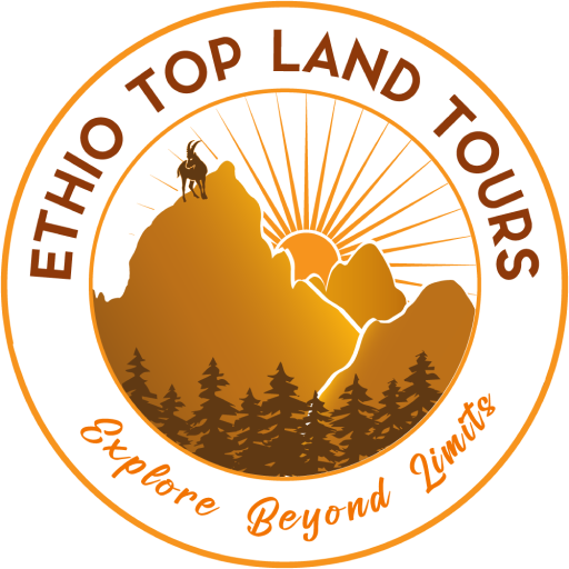 FindTourGuide