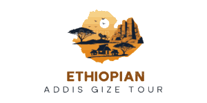 FindTourGuide