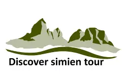 FindTourGuide