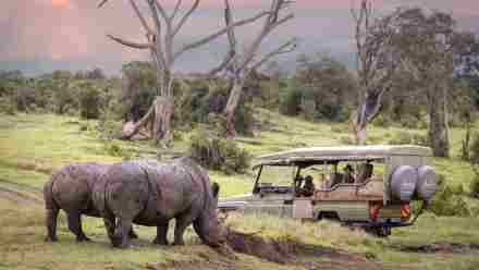 7-Day Expedition to the Arid North