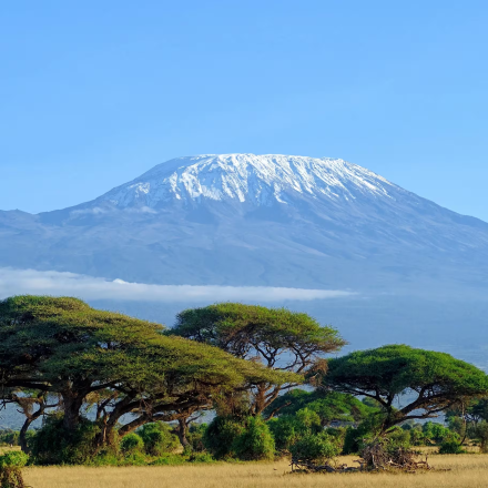 6-Day Amboseli, Lake Naivasha and Mara - Mid-Range
