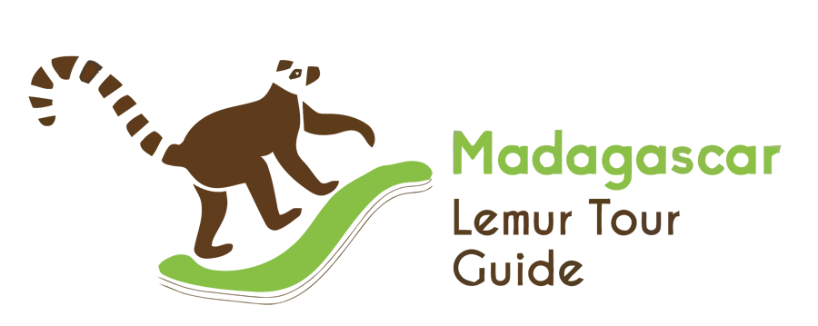 FindTourGuide
