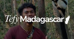 FindTourGuide