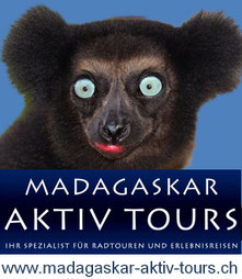 FindTourGuide