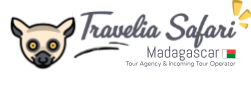 FindTourGuide