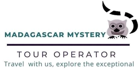 FindTourGuide