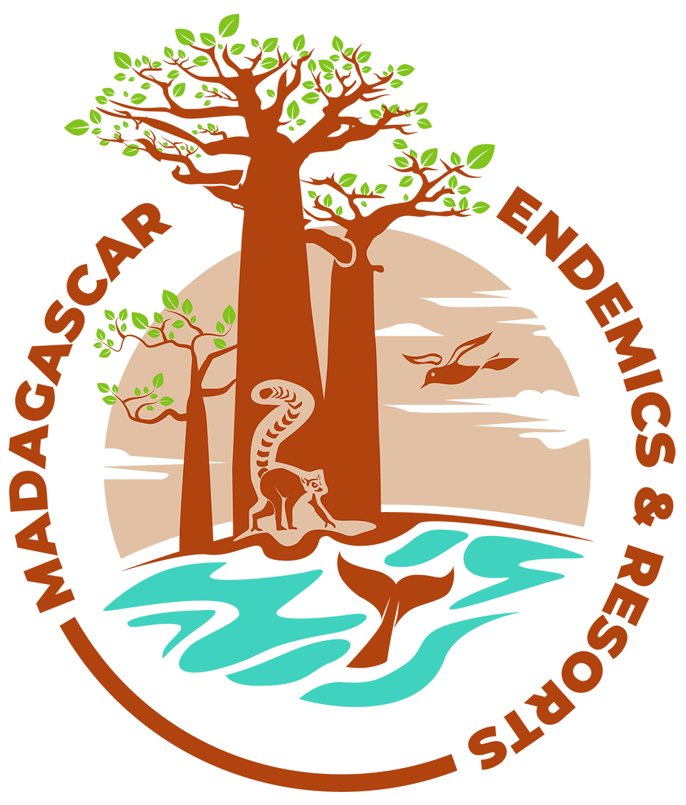 FindTourGuide