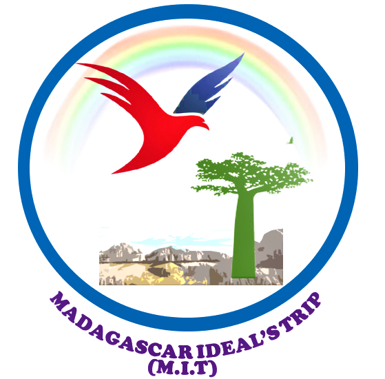 FindTourGuide