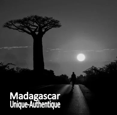 FindTourGuide