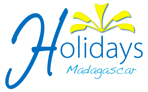 FindTourGuide