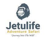 JETULIFE ADVENTURE SAFARI