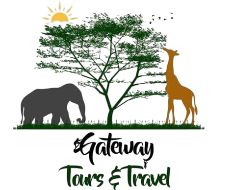 FindTourGuide