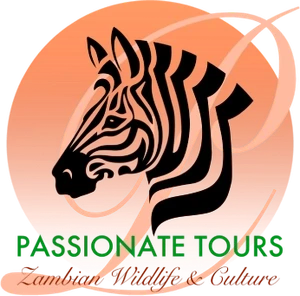 FindTourGuide