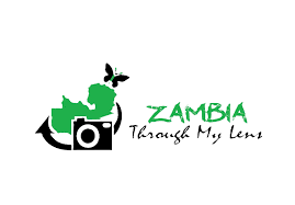 FindTourGuide