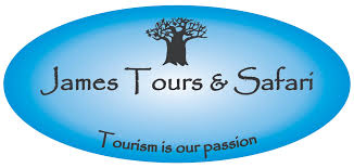 FindTourGuide