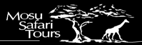 FindTourGuide