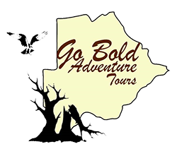 FindTourGuide
