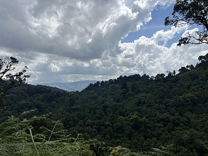 照片 4