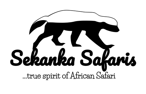 FindTourGuide