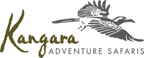 FindTourGuide