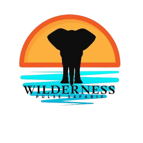 FindTourGuide