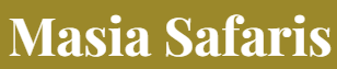 FindTourGuide